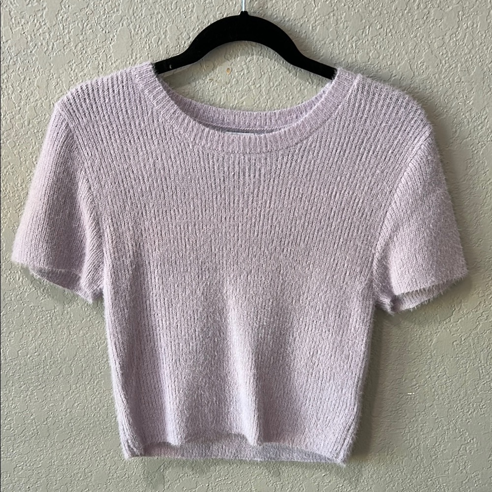 Francesca’s Lilac sweater crop top